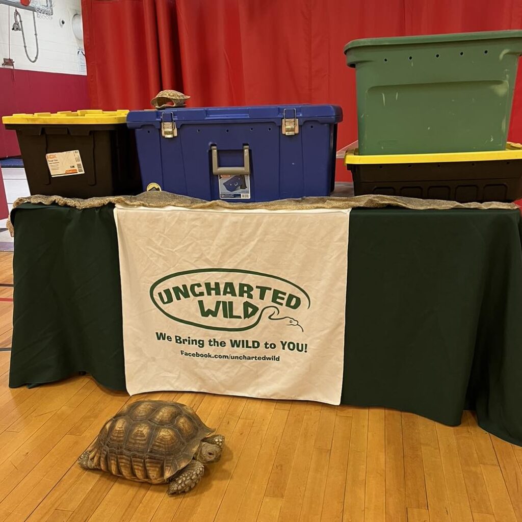 Uncharted Wild - Educational and fun animal shows